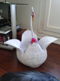 Biggest swan i did